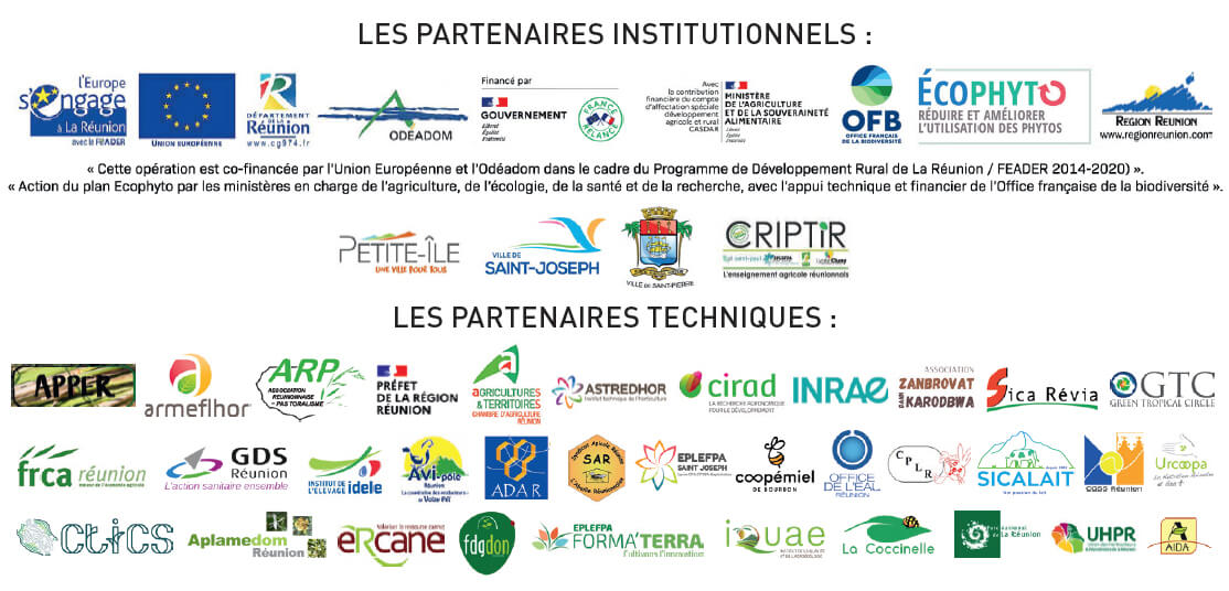 Les partenaires institutionnels des Agrofert’îles édition junior 2023
